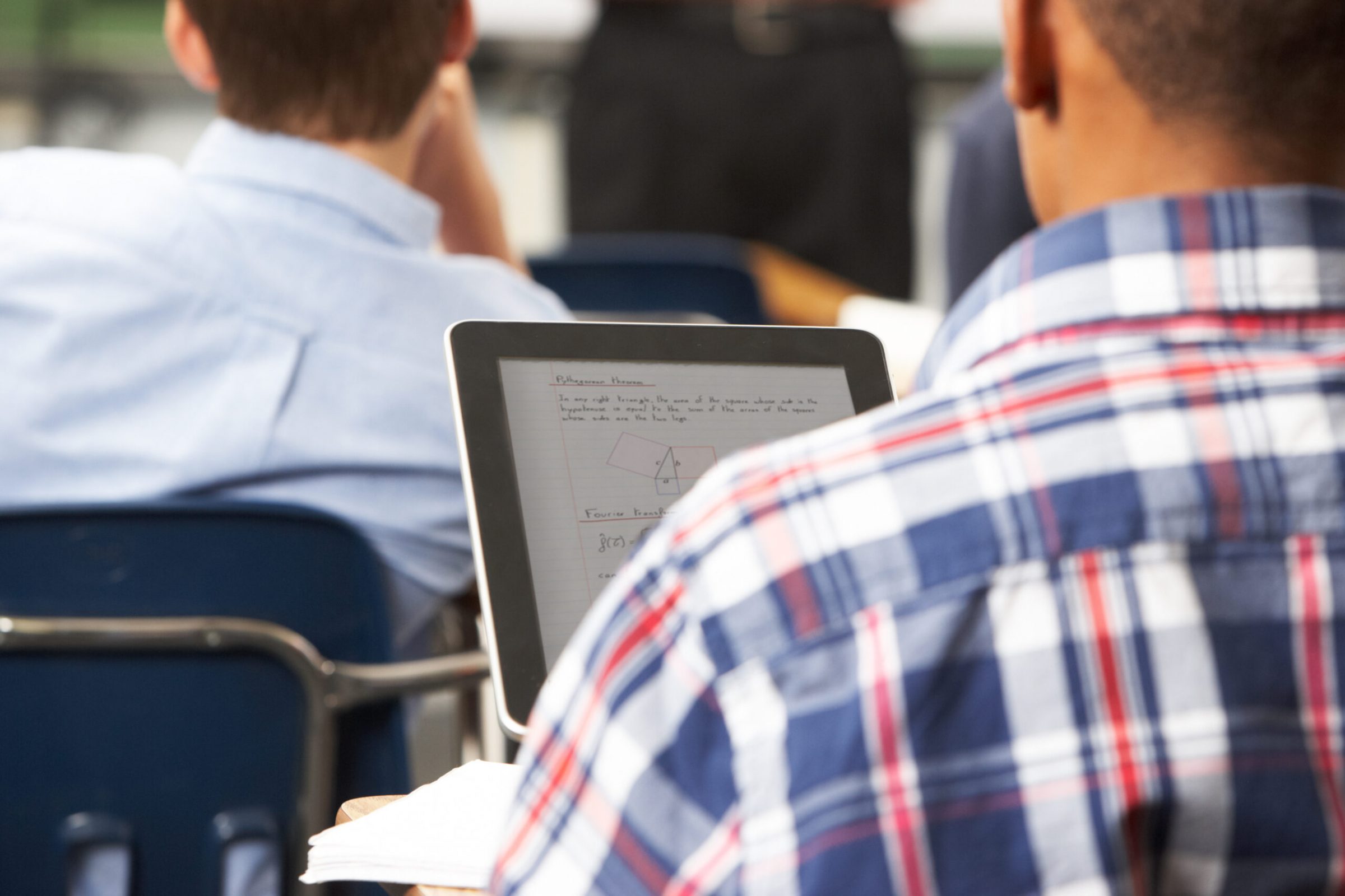 Analysis of NAEP Mathematics Process, Outcome, and Survey Data to Understand Test-Taking Behavior and Mathematics Performance of Learners with Disabilities