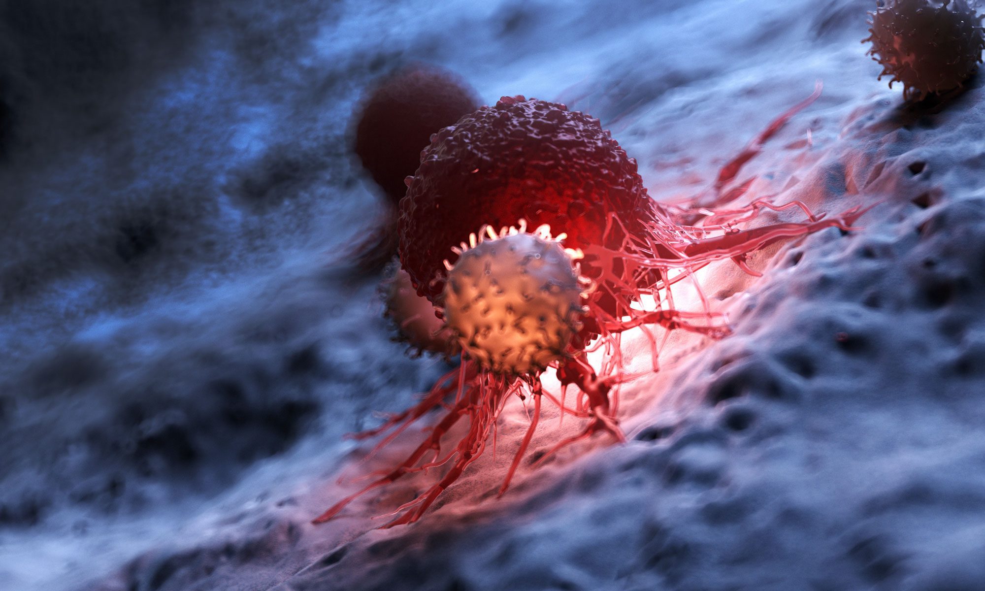 Expanding cancer immunotherapy by exploiting recall immunity – a new co-therapy option for checkpoint inhibitor