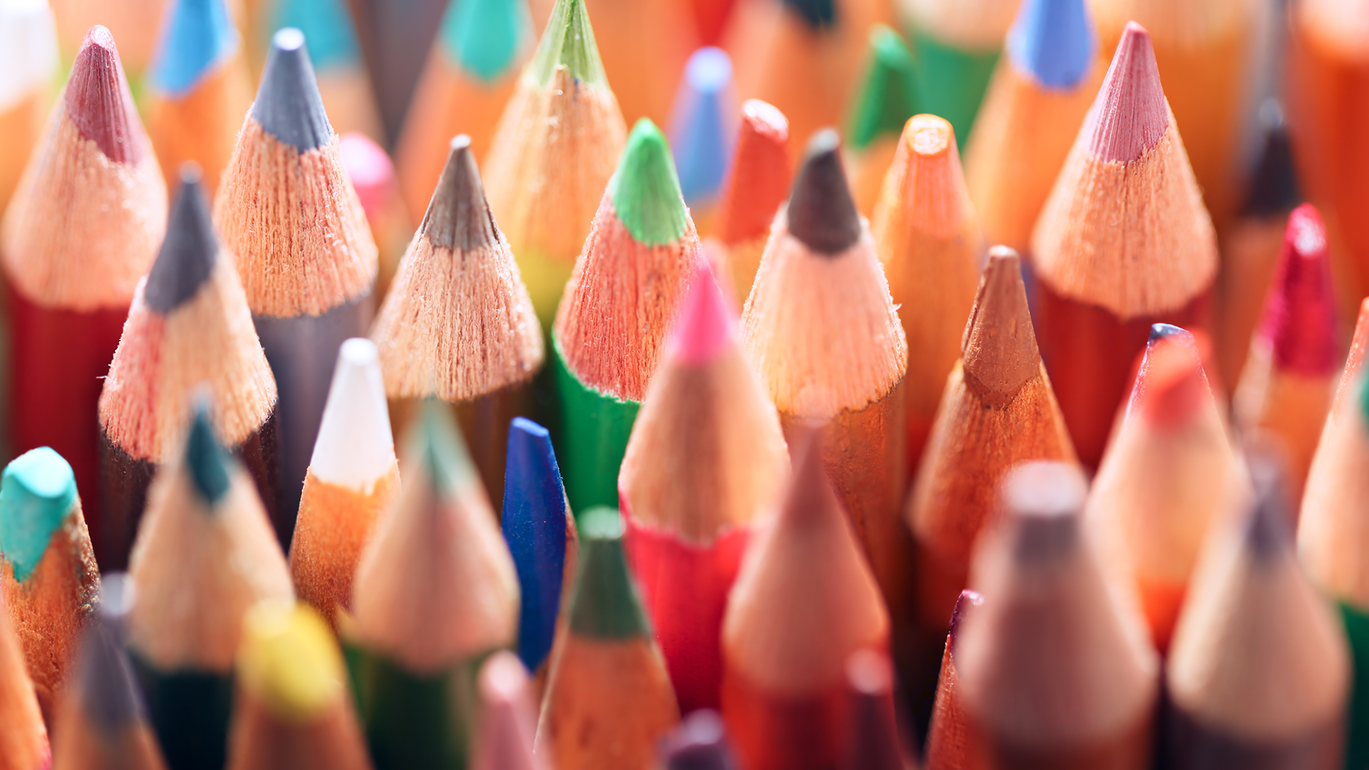 Colored pencils closeup