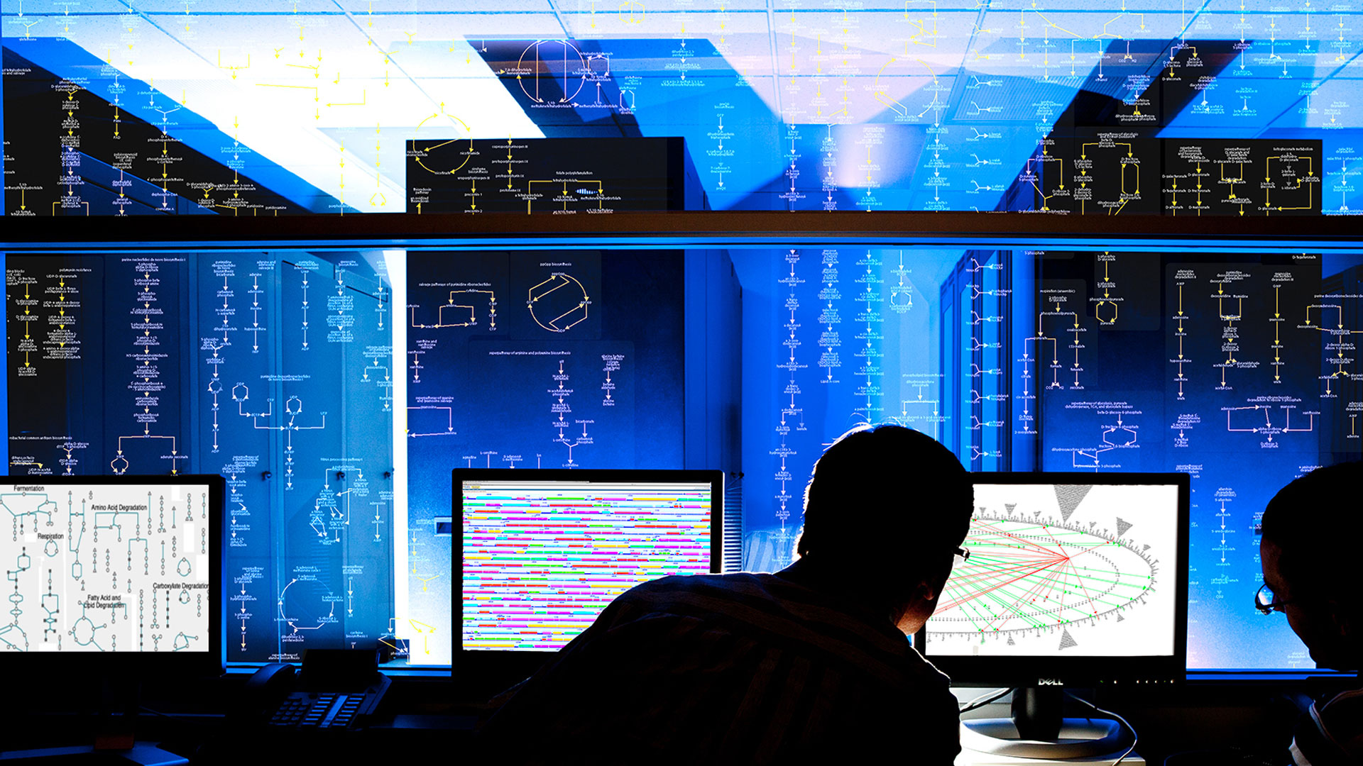 SRI International celebrates global recognition of Bioinformatics Research Group and its BioCyc and Pathway Tools collection