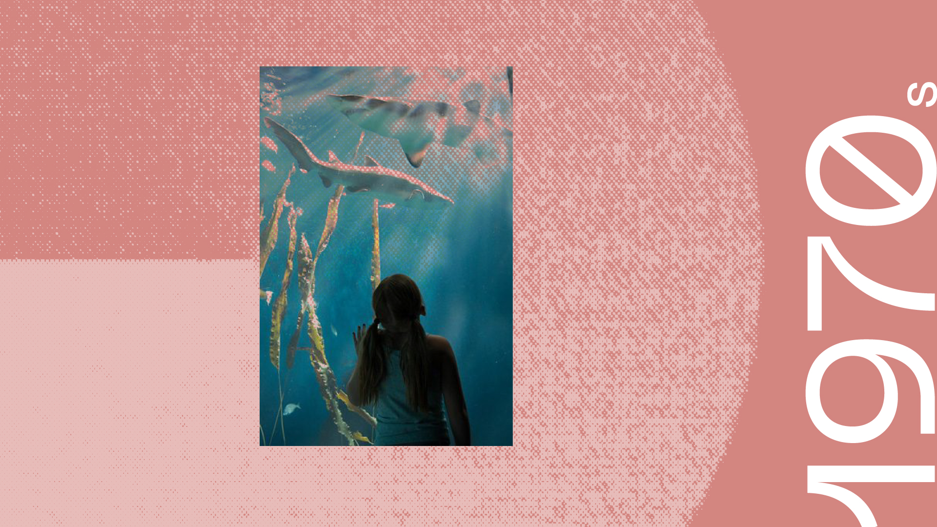 Monterey Bay Aquarium